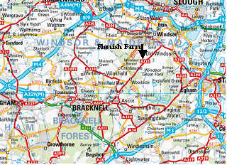 Large area map